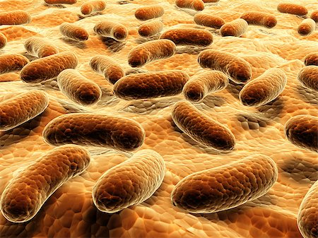 simsearch:400-04337180,k - Pathogen bacteria on the surface.  3d render Stock Photo - Budget Royalty-Free & Subscription, Code: 400-08695434