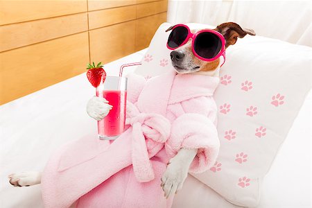 funny cocktail images - jack russell dog relaxing  and lying, in   spa wellness center ,getting a facial treatment with  moisturizing cream mask and cucumber, drinking a cocktail milkshake smoothie Stock Photo - Budget Royalty-Free & Subscription, Code: 400-08695806