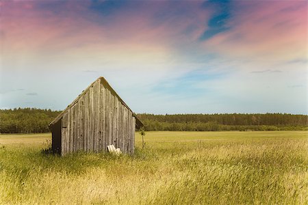 simsearch:400-06101286,k - Old village house in a field. Cabin in the country Stock Photo - Budget Royalty-Free & Subscription, Code: 400-08695835