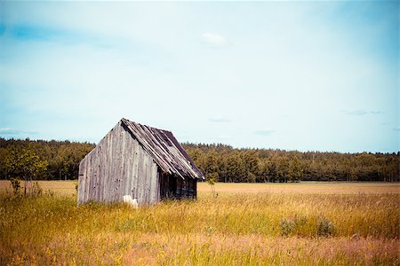 simsearch:400-06101286,k - Old village house in a field. Cabin in the country Stock Photo - Budget Royalty-Free & Subscription, Code: 400-08695836
