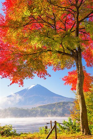 Mt. Fuji, Japan from Kawaguchi Lake in the autumn season. Foto de stock - Super Valor sin royalties y Suscripción, Código: 400-08695855