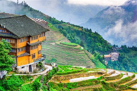 simsearch:862-03351790,k - Yaoshan Mountain, Guilin, China hillside rice terraces landscape. Stock Photo - Budget Royalty-Free & Subscription, Code: 400-08695858