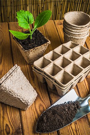 simsearch:400-07289214,k - Seedlings and garden tools on a wooden surface, close-up Foto de stock - Super Valor sin royalties y Suscripción, Código: 400-08696104