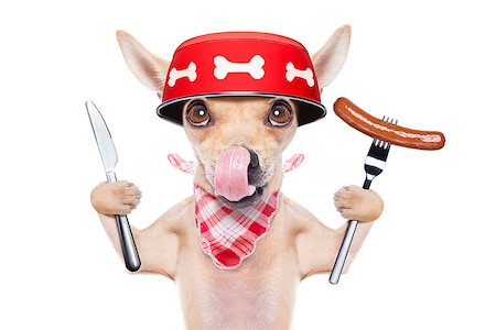 dog knife and fork - hungry  chihuahua dog holding food bowl and licking with tongue, isolated on white background Stock Photo - Budget Royalty-Free & Subscription, Code: 400-08696189