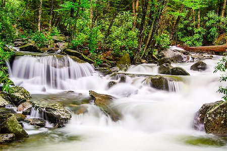 sevier - cascades in the Smoky Mountains of Tennessee, USA. Stock Photo - Budget Royalty-Free & Subscription, Code: 400-08696377