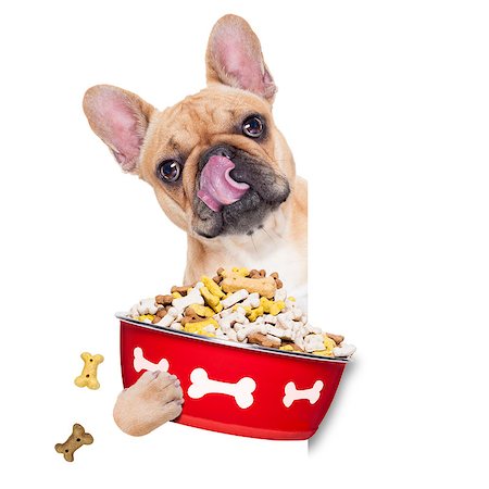 simsearch:400-07208442,k - hungry  french bulldog  dog holding food bowl and licking with tongue, isolated on white background Stockbilder - Microstock & Abonnement, Bildnummer: 400-08696548