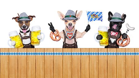 simsearch:400-08163219,k - bavarian german row or group  of dogs with  pretzel, beer mug ,flag , sausage,  and gingerbread heart, isolated on white background , ready for the beer celebration festival in munich Photographie de stock - Aubaine LD & Abonnement, Code: 400-08696715