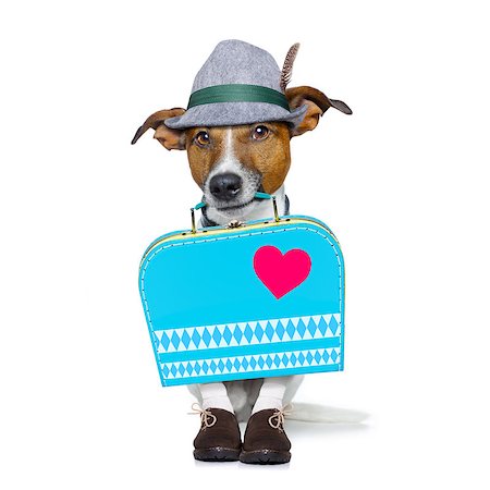 simsearch:400-04354197,k - bavarian german  jack russell  dog with  bag and luggage, isolated on white background ready for the beer celebration festival in munich Stock Photo - Budget Royalty-Free & Subscription, Code: 400-08696732