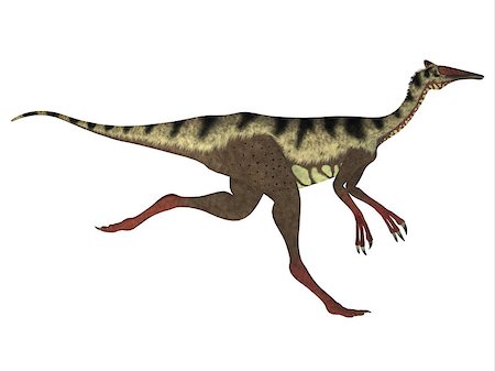 simsearch:400-08694325,k - Pelecanimimus was a carnivorous theropod dinosaur that lived in the Cretaceous Period of Spain. Foto de stock - Super Valor sin royalties y Suscripción, Código: 400-08696815