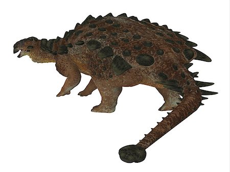 simsearch:400-08332007,k - Pinacosaurus was a herbivorous ankylosaur that lived in the Cretaceous Period of Mongolia and China. Foto de stock - Super Valor sin royalties y Suscripción, Código: 400-08696819