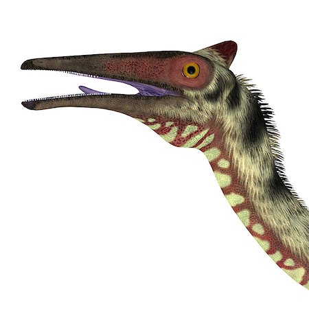 simsearch:400-08694325,k - Pelecanimimus was a carnivorous theropod dinosaur that lived in the Cretaceous Period of Spain. Foto de stock - Super Valor sin royalties y Suscripción, Código: 400-08696812