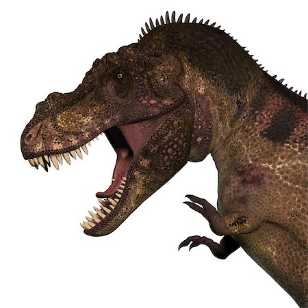 simsearch:400-08694325,k - Tyrannosaurus Rex was a carnivorous dinosaur that lived in the Cretaceous Period of North America. Foto de stock - Super Valor sin royalties y Suscripción, Código: 400-08696825