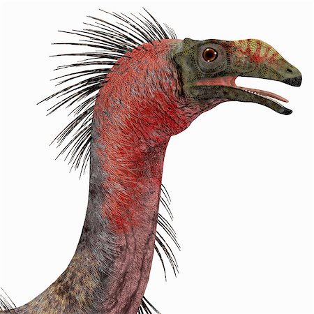 simsearch:400-08694325,k - Therizinosaurus was a carnivorous theropod dinosaur that lived in the Cretaceous Period of Mongolia. Foto de stock - Super Valor sin royalties y Suscripción, Código: 400-08696822