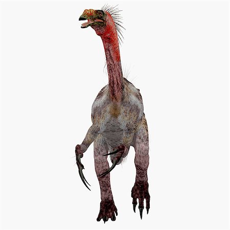 simsearch:400-08694325,k - Therizinosaurus was a carnivorous theropod dinosaur that lived in the Cretaceous Period of Mongolia. Foto de stock - Super Valor sin royalties y Suscripción, Código: 400-08696823