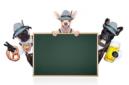 simsearch:400-08163219,k - group or team of bavarian german dogs  with  gingerbread and hat, behind placard or banner ,  isolated on white background , ready for the beer celebration festival in munich Photographie de stock - Aubaine LD & Abonnement, Code: 400-08696843