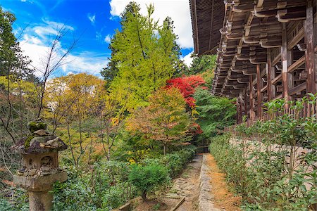 simsearch:400-07419172,k - Mount Shosha, Himeji, Japan at Enyogji Temple in early autumn. Foto de stock - Royalty-Free Super Valor e Assinatura, Número: 400-08697240