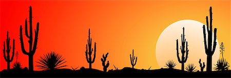 desert sunset landscape cactus - Sunset in the Mexican desert. Silhouettes of cacti and plants. Desert landscape with cactuses. Stock Photo - Budget Royalty-Free & Subscription, Code: 400-08697301