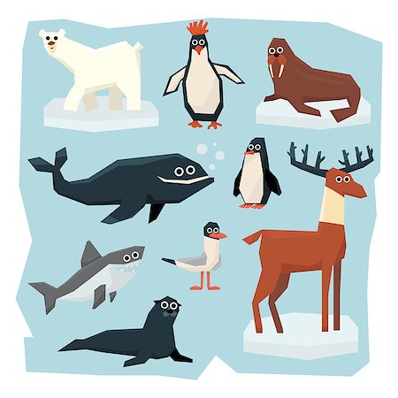 simsearch:400-08507283,k - Vector set of Arctic and Antarctic animals. Collection of flat style vector illustration Fotografie stock - Microstock e Abbonamento, Codice: 400-08697562