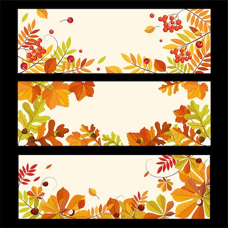 simsearch:400-04983103,k - Banners with autumn elements, leaves and berries, colorful vector illustration Fotografie stock - Microstock e Abbonamento, Codice: 400-08697584