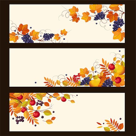 simsearch:400-04983103,k - Banners with autumn elements, leaves and ripe berries, colorful vector illustration Fotografie stock - Microstock e Abbonamento, Codice: 400-08697585