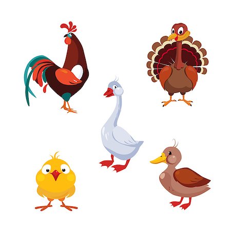 simsearch:400-08012943,k - Poultry Domestic Birds, Vector Illustration Collection Farm animals Foto de stock - Super Valor sin royalties y Suscripción, Código: 400-08697622