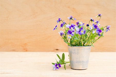 Blue spring flowers in vintage aluminum vase on wooden background, rustic style. Stock Photo - Budget Royalty-Free & Subscription, Code: 400-08692892