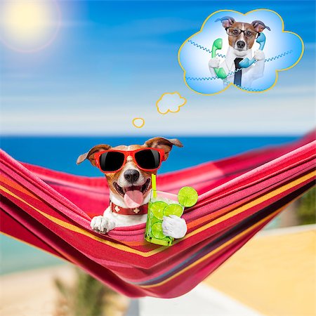 simsearch:400-07055937,k - jack russell dog relaxing on a fancy red  hammock  with blank banner, placard or blackboard,  on summer vacation holidays at the beach , thinking of work Foto de stock - Royalty-Free Super Valor e Assinatura, Número: 400-08692952