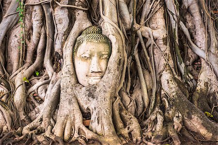 simsearch:400-05924770,k - Buddha head in banyan tree roots at Wat Mahathat in Ayutthaya, Thailand. Photographie de stock - Aubaine LD & Abonnement, Code: 400-08693396