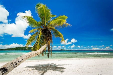 simsearch:400-08693524,k - Beautiful view of a tropical beach in La Digue, Seychelles Fotografie stock - Microstock e Abbonamento, Codice: 400-08693524
