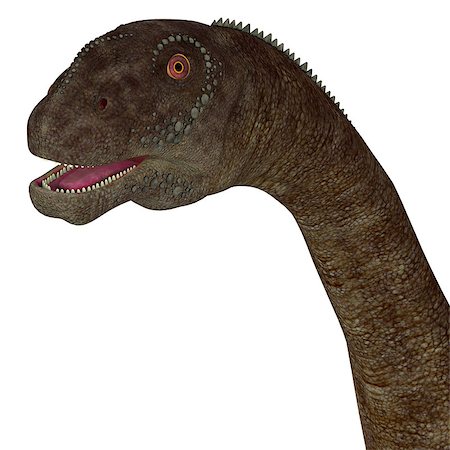 simsearch:400-08694325,k - Malawisaurus was a herbivore sauropod dinosaur that lived in Africa during the Cretaceous Period. Foto de stock - Super Valor sin royalties y Suscripción, Código: 400-08693539