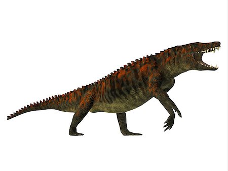 simsearch:400-08694325,k - Uberabasuchus was an archosaur carnivorous crocodile that lived in the Cretaceous Period of Brazil. Foto de stock - Super Valor sin royalties y Suscripción, Código: 400-08693548