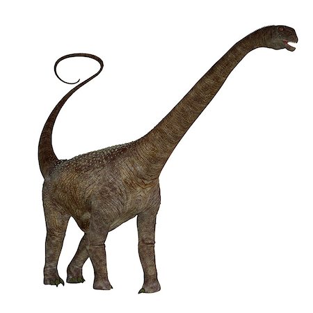 simsearch:400-08694325,k - Malawisaurus was a herbivore sauropod dinosaur that lived in Africa during the Cretaceous Period. Foto de stock - Super Valor sin royalties y Suscripción, Código: 400-08693540