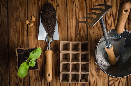 shovel in dirt - Still-life with sprouts and the garden tool, the top view Stock Photo - Budget Royalty-Free & Subscription, Code: 400-08693794