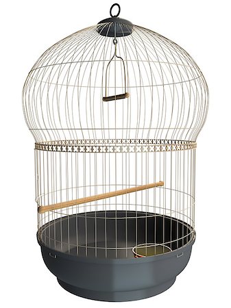 3D rendering of a birdcage, isolated on white background Stock Photo - Budget Royalty-Free & Subscription, Code: 400-08693845
