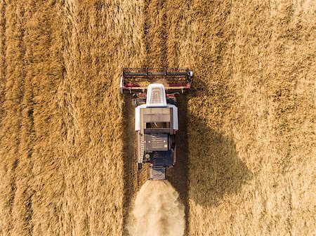 harvester on the wheat field from the top view Foto de stock - Super Valor sin royalties y Suscripción, Código: 400-08706240