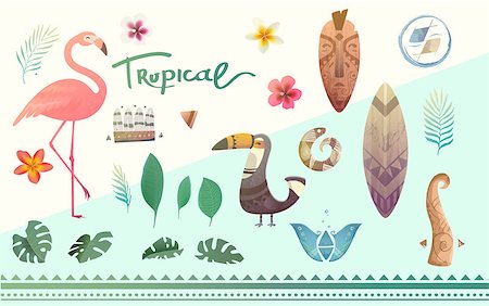 Vector set tropical plants and animals. Tropical flowers and leaves. Illustrations can be used on the cover, flyers, printing, fabric, books. Photographie de stock - Aubaine LD & Abonnement, Code: 400-08707325