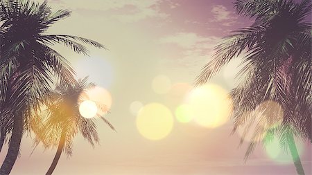 3D render of palm trees against a sunset sky with a vintage effect Foto de stock - Super Valor sin royalties y Suscripción, Código: 400-08708137