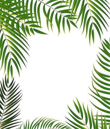 Beautifil Palm Tree Leaf  Silhouette Background Vector Illustration EPS10 Stock Photo - Budget Royalty-Free & Subscription, Code: 400-08708391