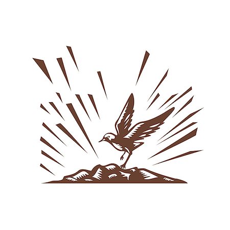 schabkunst - Illustration a plover bird landing on a treeless island set on isolated white background done in retro woodcut style. Stockbilder - Microstock & Abonnement, Bildnummer: 400-08708772