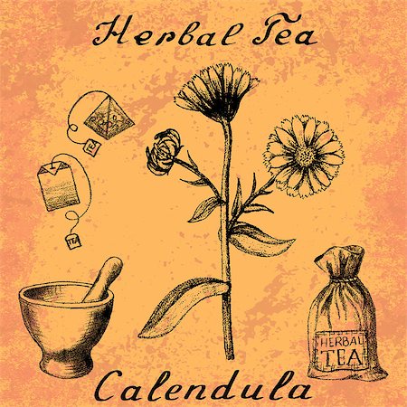 simsearch:400-09096754,k - Calendula hand drawn sketch botanical illustration. Utensils for tea. Vector illustation. Medical herbs. Lettering in English and Russian languages. Grunge background Foto de stock - Super Valor sin royalties y Suscripción, Código: 400-08708879