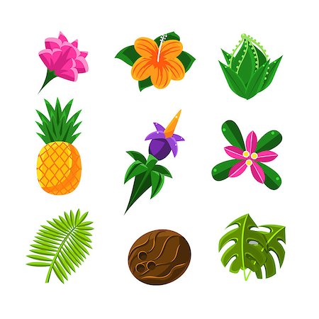 Tropical Plants And Fruits Set In Simple Realistic Cartoon Flat Vector Design Isolated On White Background Stock Photo - Budget Royalty-Free & Subscription, Code: 400-08710986