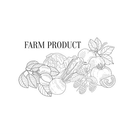 simsearch:400-08654097,k - Farm Products Still Life Hand Drawn Realistic Detailed Sketch In Classy Simple Pencil Style On White Background Foto de stock - Super Valor sin royalties y Suscripción, Código: 400-08711066