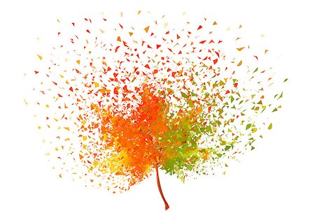 Colorful autumn leaf with flying particles, vector illustration over white background Foto de stock - Super Valor sin royalties y Suscripción, Código: 400-08711113