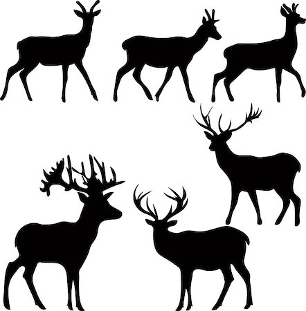 simsearch:400-08430645,k - deer and roe silhouettes on the white background. Stock Photo - Budget Royalty-Free & Subscription, Code: 400-08711580