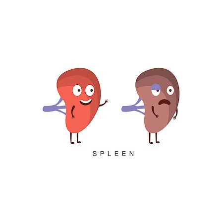 Healthy vs Unhealthy Spleen Infographic Illustration.Humanized Human Organs Childish Cartoon Characters On White Background Stock Photo - Budget Royalty-Free & Subscription, Code: 400-08712107