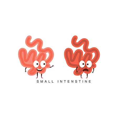 Healthy vs Unhealthy Small Intestine Infographic Illustration.Humanized Human Organs Childish Cartoon Characters On White Background Stock Photo - Budget Royalty-Free & Subscription, Code: 400-08712115