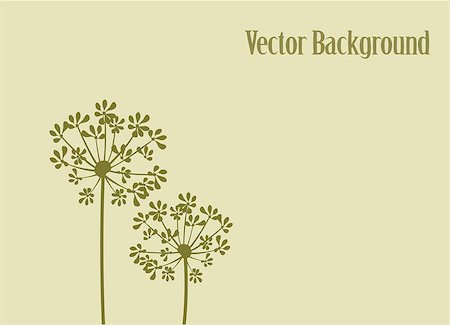 spices vector - vector illustration of fennel flower background Stock Photo - Budget Royalty-Free & Subscription, Code: 400-08712474