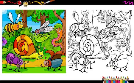 Cartoon Illustration of Insect Animal Characters Coloring Book Activity Stock Photo - Budget Royalty-Free & Subscription, Code: 400-08713110