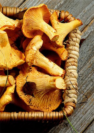 simsearch:400-06485810,k - Wicker Basket Full of Fresh Raw Chanterelles Cross Section on Rustic Wooden background Fotografie stock - Microstock e Abbonamento, Codice: 400-08729910