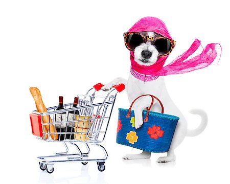 diverse families - crazy and silly terrier dog diva lady with bag pushing  full of products supermarket cart , isolated on white background Foto de stock - Super Valor sin royalties y Suscripción, Código: 400-08734407